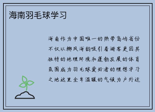 海南羽毛球学习