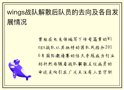 wings战队解散后队员的去向及各自发展情况